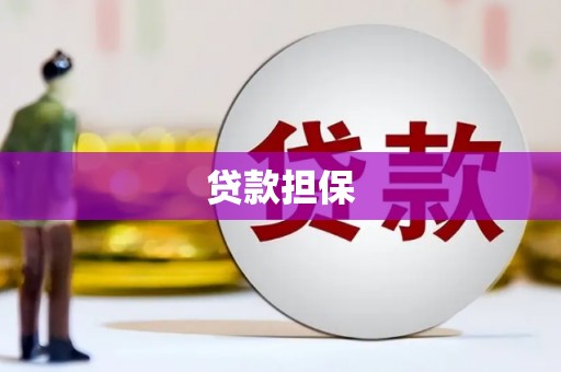 新晃贷款担保