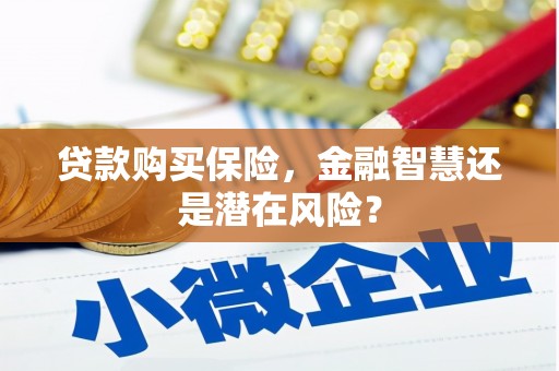 新晃贷款购买保险，金融智慧还是潜在风险？