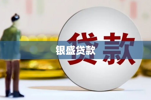 新晃银盛贷款