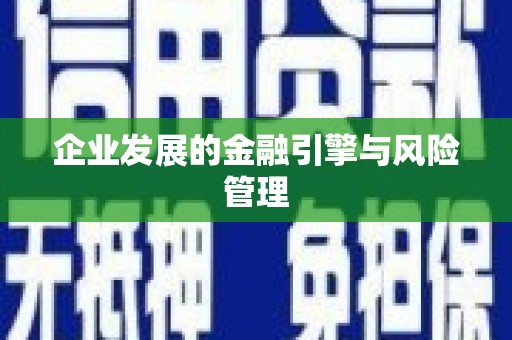 新晃企业发展的金融引擎与风险管理