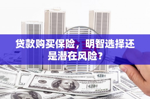 新晃贷款购买保险，明智选择还是潜在风险？