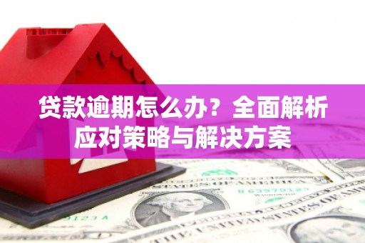新晃贷款逾期怎么办？全面解析应对策略与解决方案