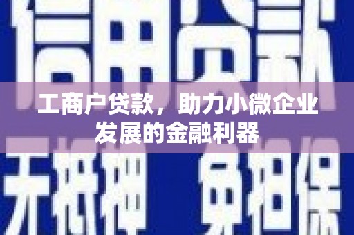 新晃工商户贷款，助力小微企业发展的金融利器