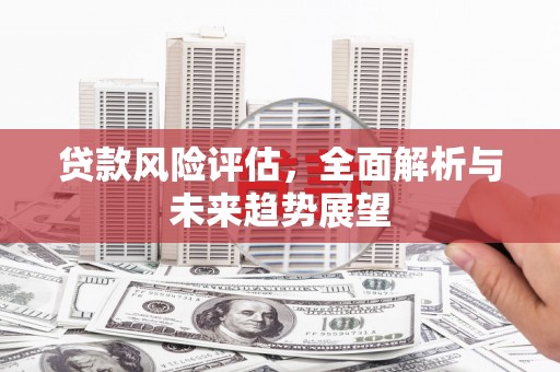 新晃贷款风险评估，全面解析与未来趋势展望