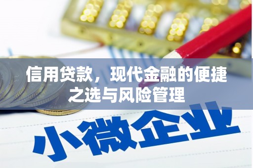新晃信用贷款，现代金融的便捷之选与风险管理