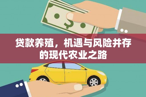 新晃贷款养殖，机遇与风险并存的现代农业之路