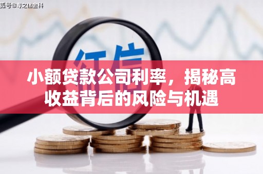 新晃小额贷款公司利率，揭秘高收益背后的风险与机遇