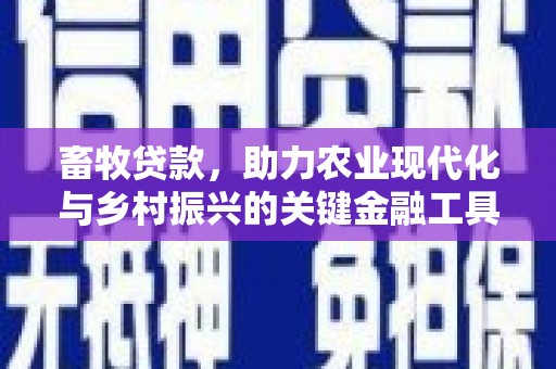 新晃畜牧贷款，助力农业现代化与乡村振兴的关键金融工具