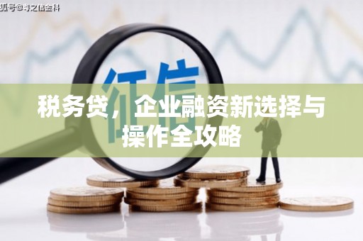 新晃税务贷，企业融资新选择与操作全攻略