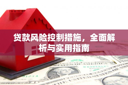 新晃贷款风险控制措施，全面解析与实用指南