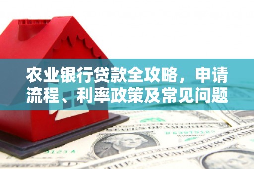 新晃农业银行贷款全攻略，申请流程、利率政策及常见问题解析