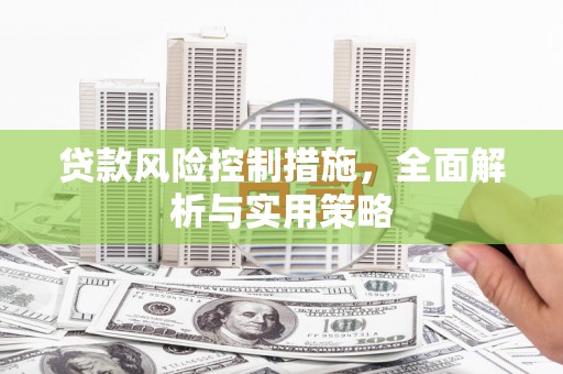 新晃贷款风险控制措施，全面解析与实用策略