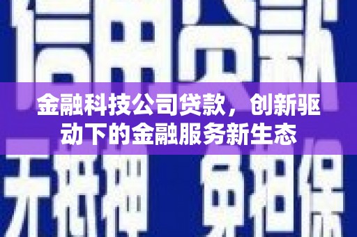 新晃金融科技公司贷款，创新驱动下的金融服务新生态