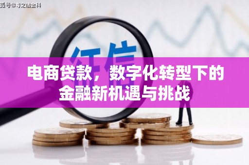 新晃电商贷款，数字化转型下的金融新机遇与挑战