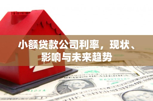 新晃小额贷款公司利率，现状、影响与未来趋势