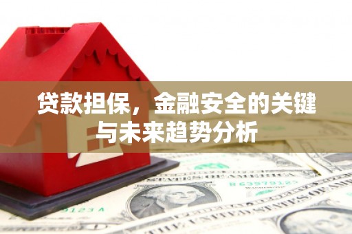 新晃贷款担保，金融安全的关键与未来趋势分析