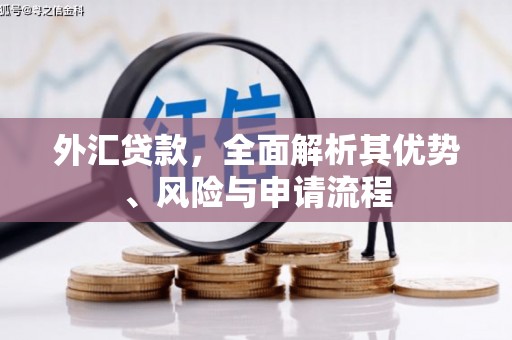 新晃外汇贷款，全面解析其优势、风险与申请流程