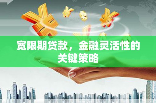 新晃宽限期贷款，金融灵活性的关键策略