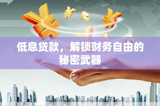 新晃低息贷款，解锁财务自由的秘密武器