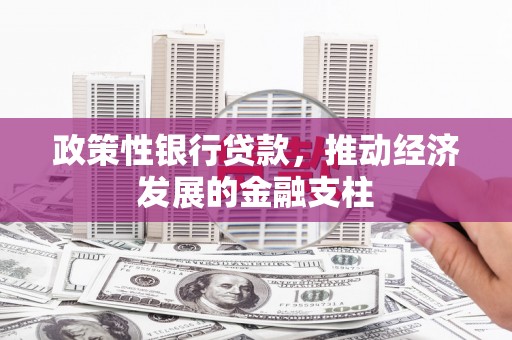 新晃政策性银行贷款，推动经济发展的金融支柱