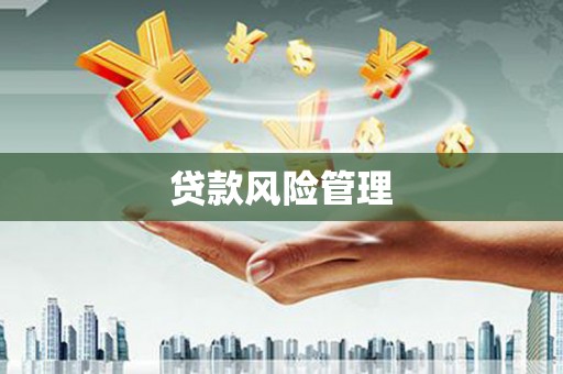 新晃贷款风险管理