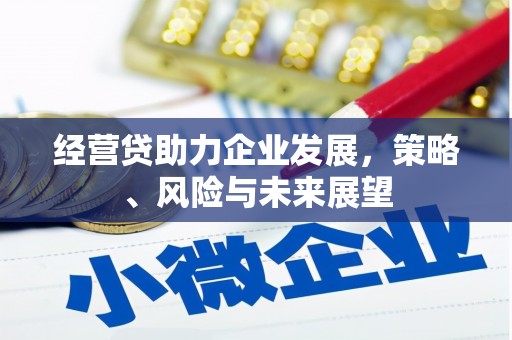 新晃经营贷助力企业发展，策略、风险与未来展望