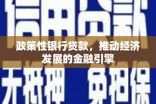 新晃政策性银行贷款，推动经济发展的金融引擎