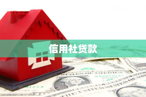 新晃信用社贷款