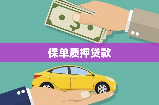 新晃保单质押贷款