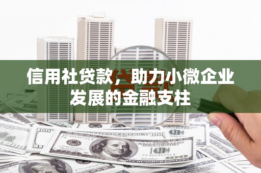 新晃信用社贷款，助力小微企业发展的金融支柱