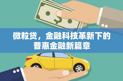 新晃微粒贷，金融科技革新下的普惠金融新篇章