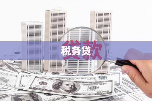 新晃税务贷