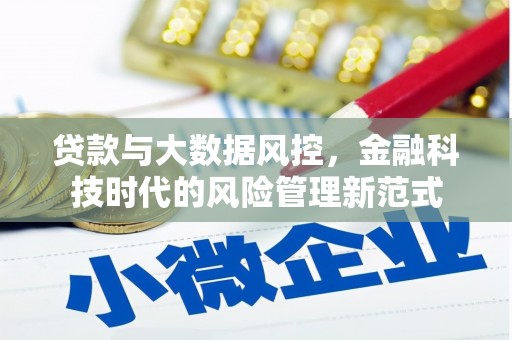 新晃贷款与大数据风控，金融科技时代的风险管理新范式