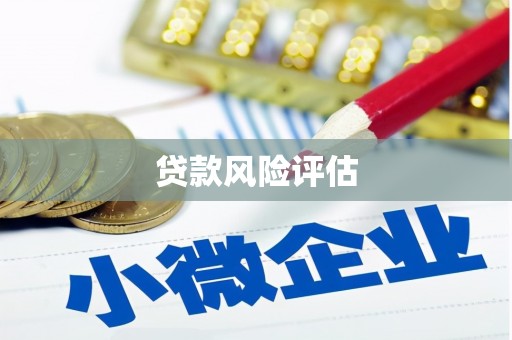 新晃贷款风险评估