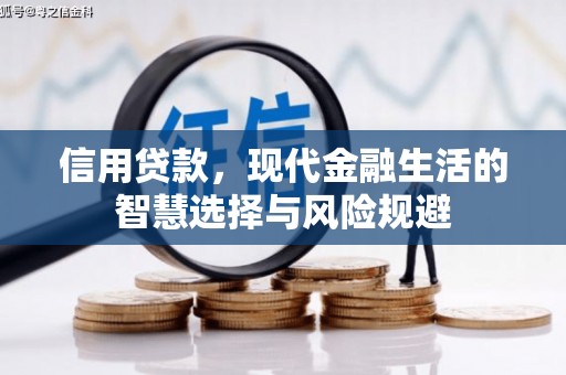 新晃信用贷款，现代金融生活的智慧选择与风险规避