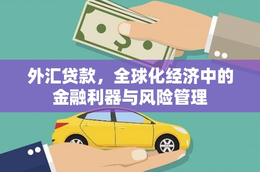 新晃外汇贷款，全球化经济中的金融利器与风险管理