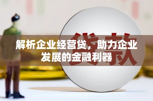 新晃解析企业经营贷，助力企业发展的金融利器