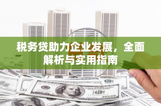 新晃税务贷助力企业发展，全面解析与实用指南