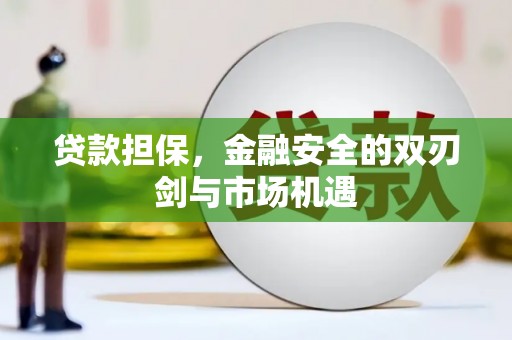 新晃贷款担保，金融安全的双刃剑与市场机遇