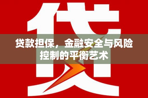 新晃贷款担保，金融安全与风险控制的平衡艺术