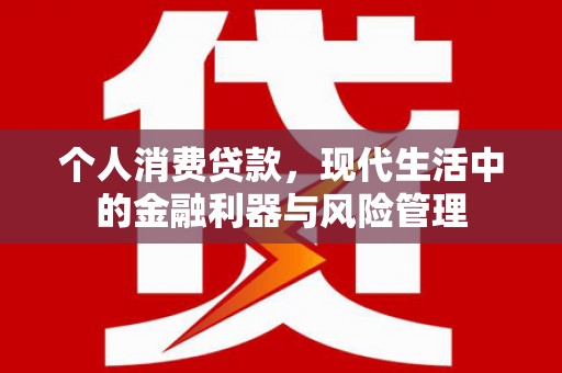 新晃个人消费贷款，现代生活中的金融利器与风险管理