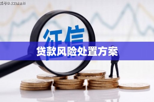 新晃贷款风险处置方案