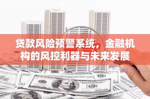 新晃贷款风险预警系统，金融机构的风控利器与未来发展