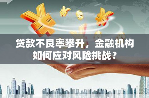 新晃贷款不良率攀升，金融机构如何应对风险挑战？
