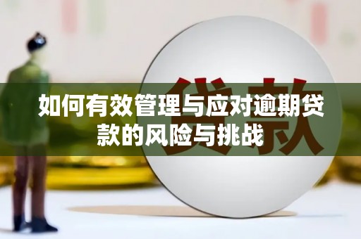 新晃如何有效管理与应对逾期贷款的风险与挑战