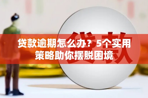 新晃贷款逾期怎么办？5个实用策略助你摆脱困境