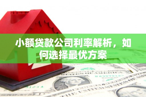 新晃小额贷款公司利率解析，如何选择最优方案