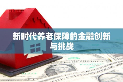 新晃新时代养老保障的金融创新与挑战