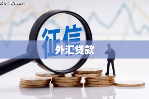 新晃外汇贷款