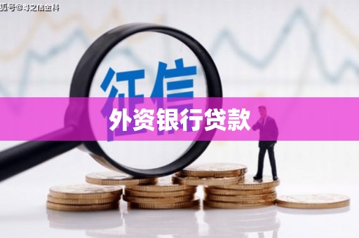 新晃外资银行贷款